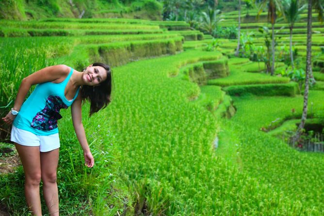 Beauty Of West Bali Tour (Private and All Inclusive) - Jatiluwih Green Land and the great rice terraces