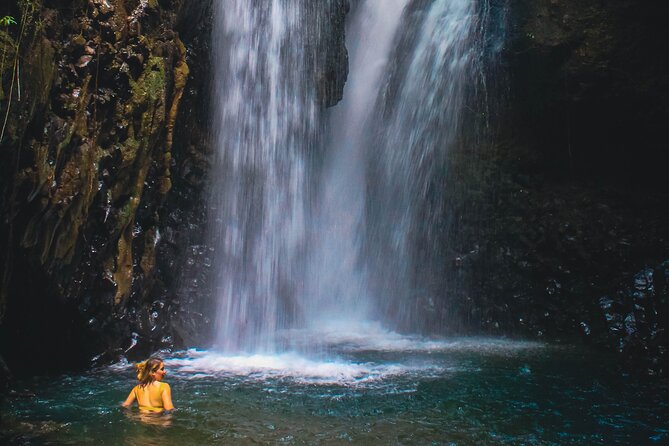 Bedugul and Singaraja Tour - Why this north Bali route is worth your day