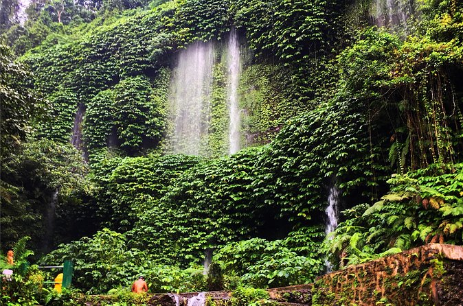 Benang kelambu waterfall and benang stokel waterfall lombok - Rice terraces on the return journey