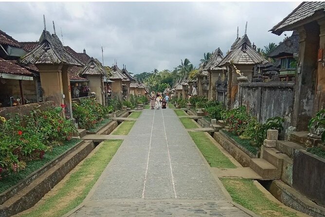 Besakih Temple Tour - Traditional Bali Village - All Inclusive - What the private driver-guide adds