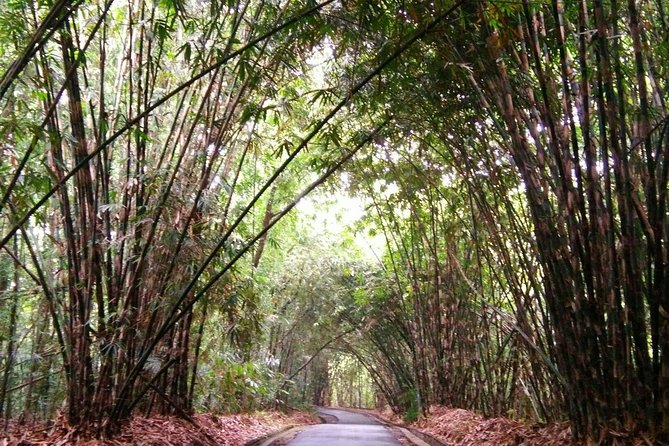 Besakih Temple Tour - Traditional Bali Village - All Inclusive - Penglipuran Village and its car-free lanes