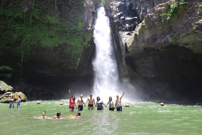Best Bali Private Customize Tour - Tegenungan Waterfall: a scenic stop with extra walking