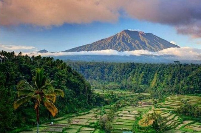 Best bali transport service - custom your own itinerary - Ubud and Gianyar require sensible time planning