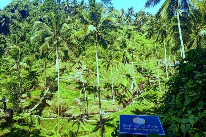 Best bali transport service - custom your own itinerary - North Nusa Dua and Jimbaran for a southern Bali day