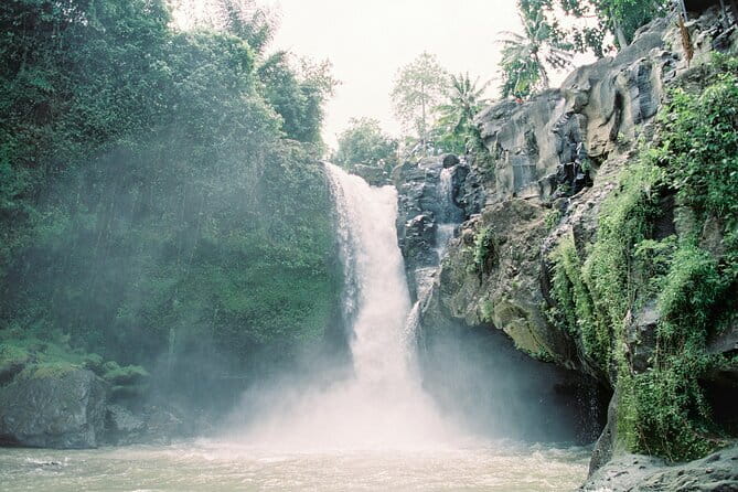 Best Day Tour - #3 World Cleanest Traditional Village - Why this private Ubud day works