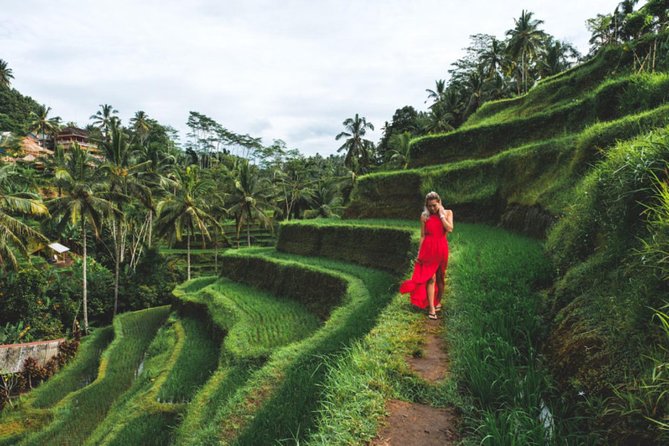 Best Day Trip in Bali - Why This Ubud Day Trip Works