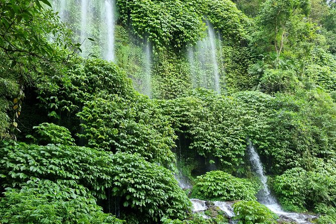 Best Lombok Rice Terrace Walking Tour With Waterfall & Monkey - Benang Stokel and Benang Kelambu: beautiful water, hard walking