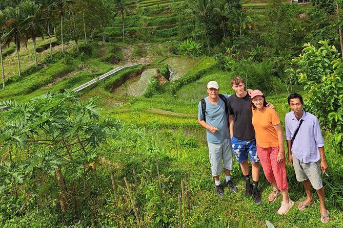 Best Lombok Rice Terrace Walking Tour With Waterfall & Monkey - Puncak Pusuk Pass and the monkey stop