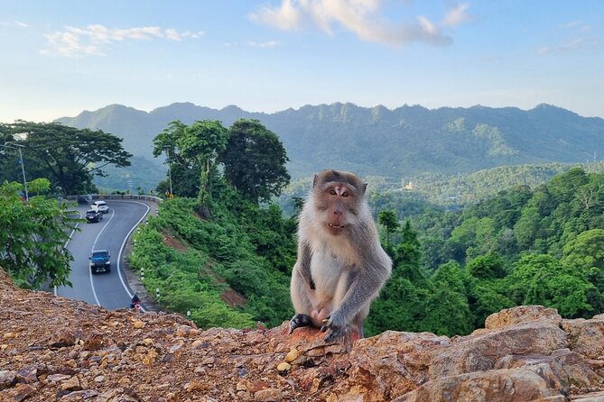 Best Lombok Rice Terrace Walking Tour With Waterfall & Monkey - Is $60 a good value?
