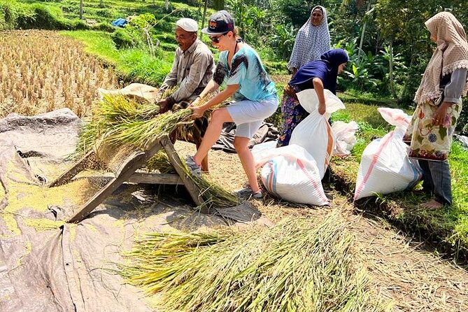 Best Lombok Rice Terrace Walking Tour With Waterfall & Monkey - Who will enjoy this Lombok tour most?