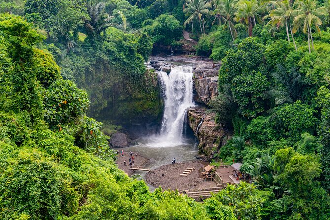 Best of Authentic Balinese Tour - Tegalalang Rice Terrace and the subak tradition