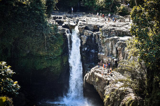 Best of Bali : Bali Temples , Rice Terrace and Waterfall Tour - Why this private Bali day tour works