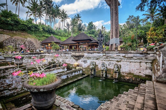 Best of Bali : Bali Temples , Rice Terrace and Waterfall Tour - What the guide and car add to the day