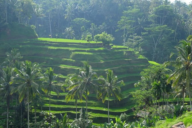 Best of Bali Private Shore Excursions - The real risk is pickup, not sightseeing