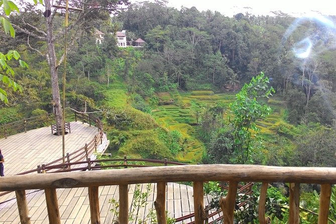 Best of Bali : Ubud, Rice terrace, Tanah lot temple with Lunch - A full day built around Bali’s best-known sights