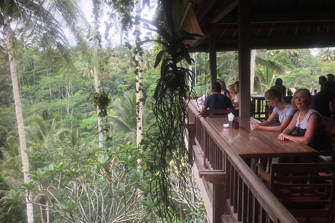 Best of Bali : Ubud, Rice terrace, Tanah lot temple with Lunch - Tegalalang Rice Terrace: a short look at hillside farming