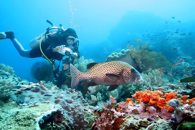 Best of Bali Water Sport Jumbo Packages - Seawalker and snorkeling provide a calmer change of pace