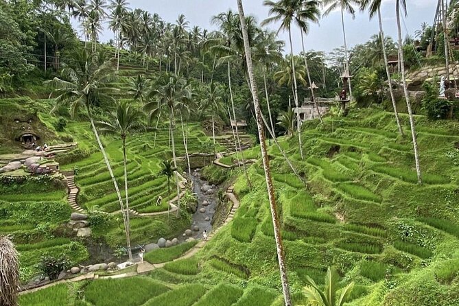 Best of Instagram Tour: Gate of Heaven, Tirta Gangga, Bali Swing - Tirta Gangga, a royal water garden with a slower mood