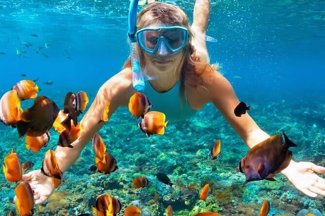 Best of Nusa Penida All-Inclusive Day Trip - The biggest practical issue: too much Nusa Penida in one day