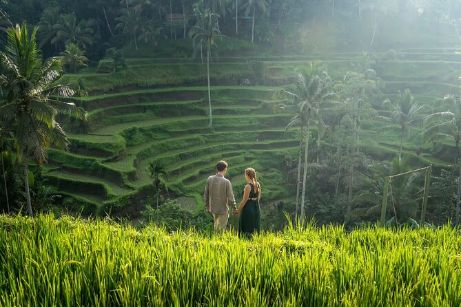 Best of Ubud: All-Inclusive Private Tour with Local Guide - What this private Ubud tour is really offering