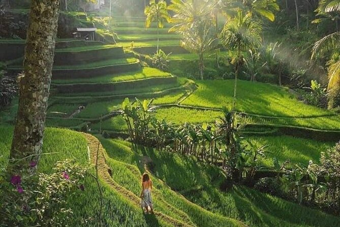 Best of Ubud: All-Inclusive Private Tour with Local Guide - Lunch at Pangkon Bali Resto & Agrotourism