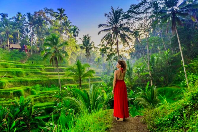 Best of Ubud: All-Inclusive Private Tour with Local Guide - Starting with the Happy Swing Bali photo stop