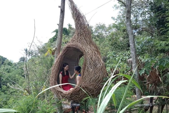 Best of Ubud Full Day Private Guided Tour - Happy Swing and the Photo Stops