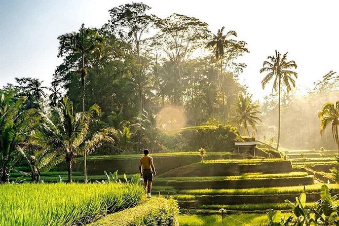 Best of Ubud - Full day Tour + FREE WI-FI - Five useful things to know before booking