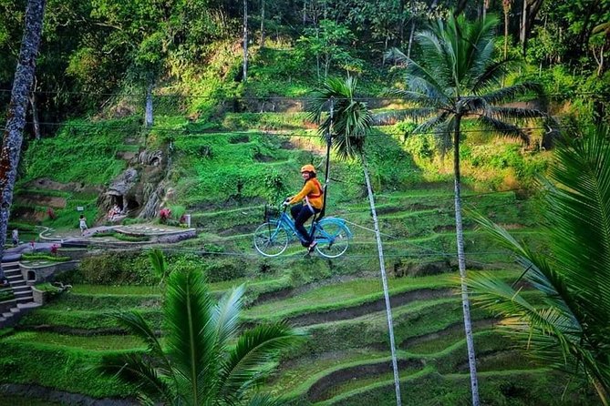 Best of Ubud - Full day Tour + FREE WI-FI - Tirta Empul Temple and the meaning of purification