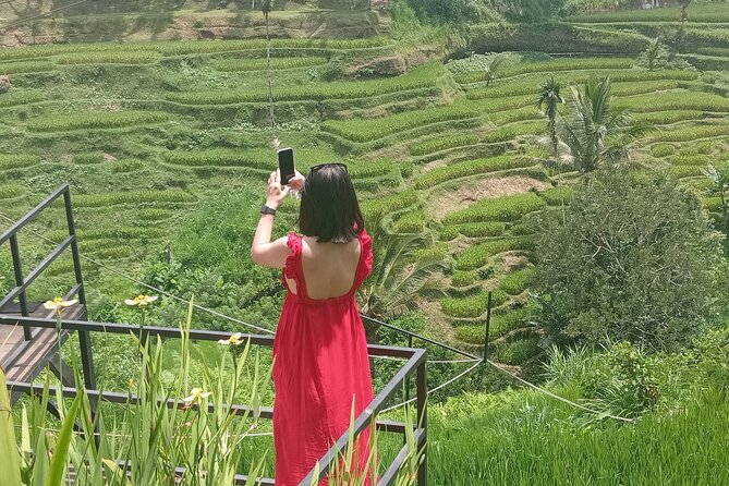 Best Of Ubud Half Day Private Guided Tour - Tegenungan Waterfall and the Final Views