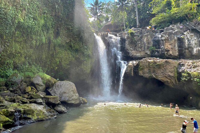 Best Of Ubud Half Day Private Guided Tour - Tegalalang Rice Terrace and the Giant Swing