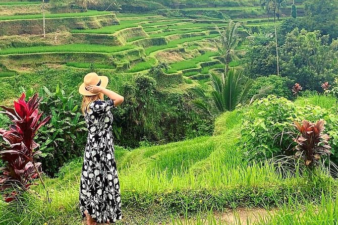 Best of Ubud - Kintamani Volcano View - Private Tour - A full day linking Ubud’s best-known sights