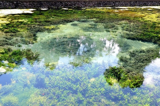 Best of Ubud - Kintamani Volcano View - Private Tour - Timing, traffic, and the shape of the day
