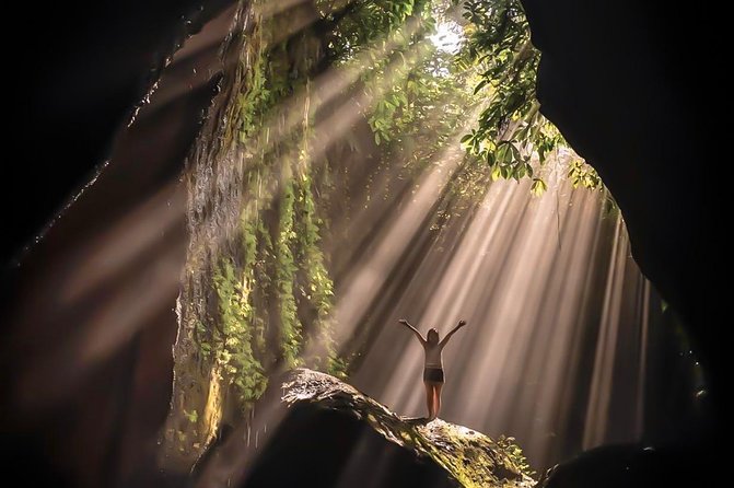Best Of Ubud : One Day Hidden Waterfall Tour with Tempel - What this Ubud day is really like