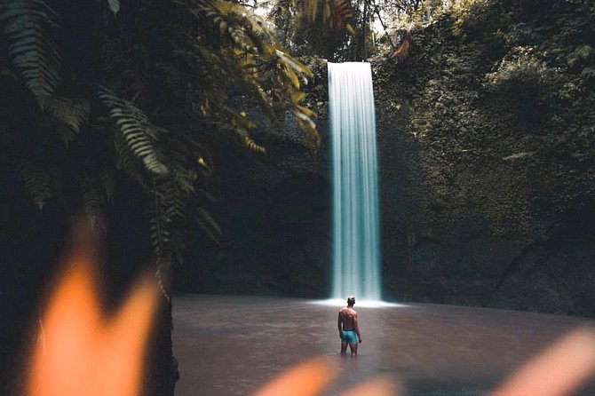 Best Of Ubud : One Day Hidden Waterfall Tour with Tempel - Finishing among the monkeys at Ubud’s forest sanctuary