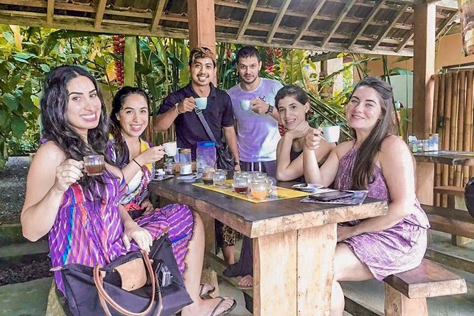 Best Of Ubud : One Day Hidden Waterfall Tour with Tempel - Why the private car matters in Bali