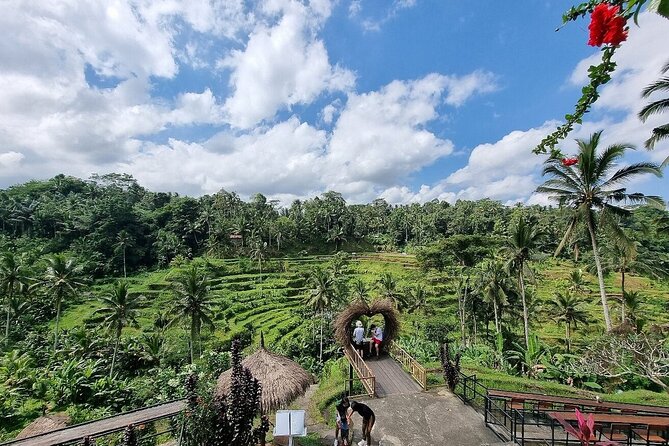Best of Ubud Private Tour with Jungle Swing Experience - A full day linking Ubud’s big sights