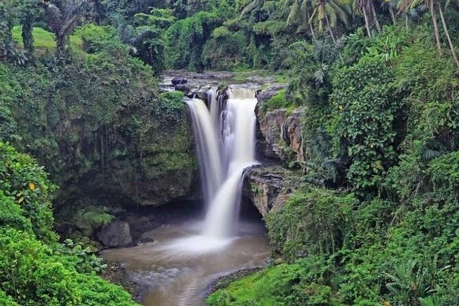Best of Ubud Private Tour with Jungle Swing Experience - Ubud Palace and the city center