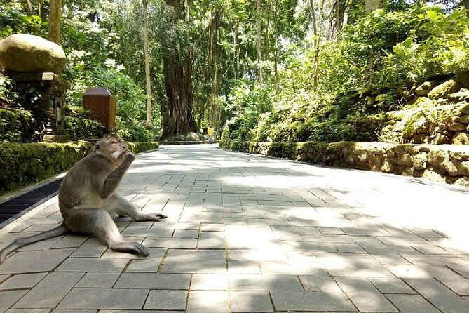Best of Ubud Private Tour with Jungle Swing Experience - Sacred Monkey Forest Sanctuary