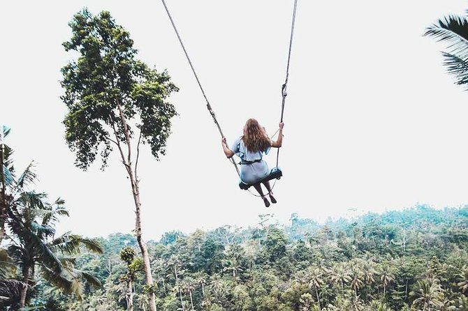 Best of Ubud Private Tour with Jungle Swing Experience - Puseh Batuan Temple and its carved entrance