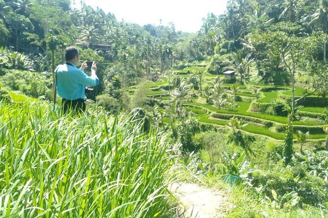 Best Of Ubud Scenic Full Day Private Guided Tour - Key points at a glance