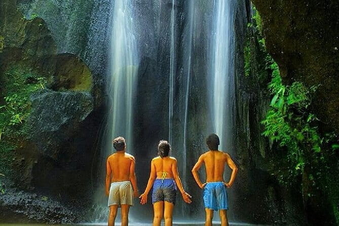 Best Of Ubud Scenic Full Day Private Guided Tour - The Bali swing: optional photos and extra expense