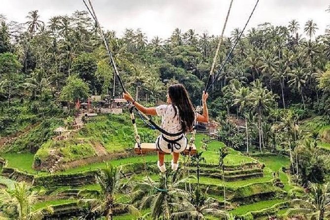 Best of Ubud Tour with Jungle Swing Private and All Inclusive - Transport, pickup areas, and the long day