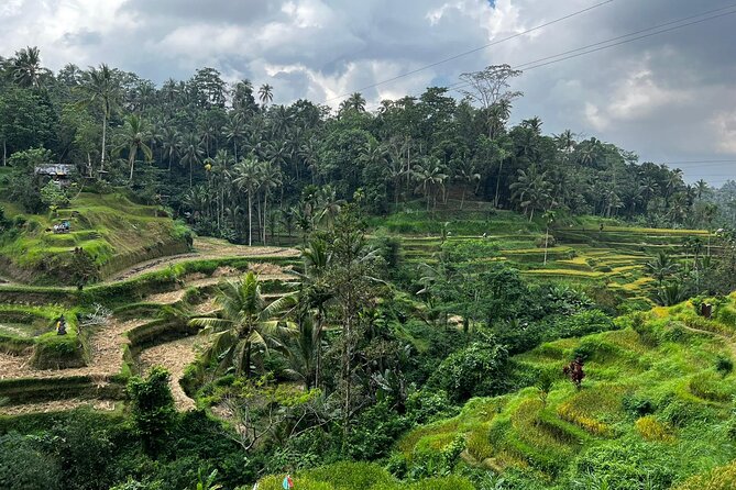 Best of Ubud - Ubud Tour Popular - All Inclusive - What the $52 price really covers