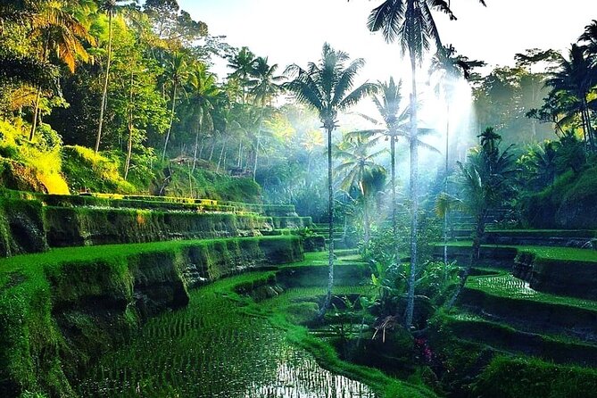 Best of Ubud - Ubud Tour Popular - All Inclusive - Tegalalang Rice Terrace and the subak system