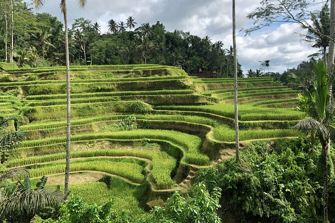 Best of Ubud Village Private Tour with Jungle Swing All Inclusive - Tegenungan Waterfall From the Viewpoint