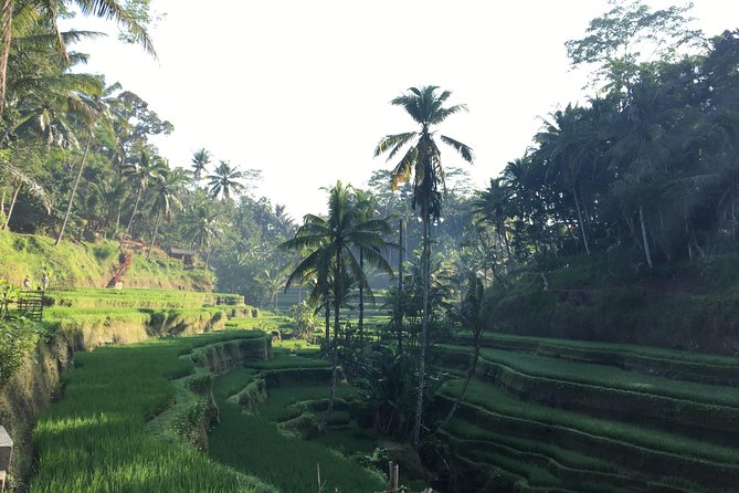 Best of Ubud Waterfalls, Tegalalang Rice Terrace and Swing Tour - Tukad Cepung’s enclosed cliff view