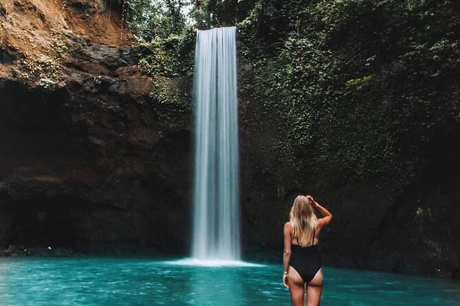 Best of Ubud Waterfalls, Tegalalang Rice Terrace and Swing Tour - Tegalalang Rice Terrace and the swing experience