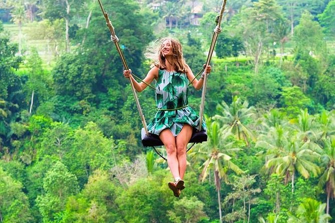 Best of Ubud with Jungle Swing Experience - Tegalalang rice terraces and the Bali irrigation system