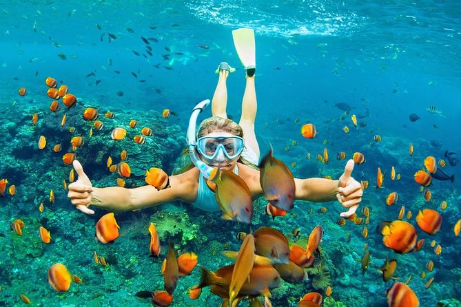 Best Snorkeling Trip at Blue Lagoon Bali - Tanjung Jepun and the most important caveat